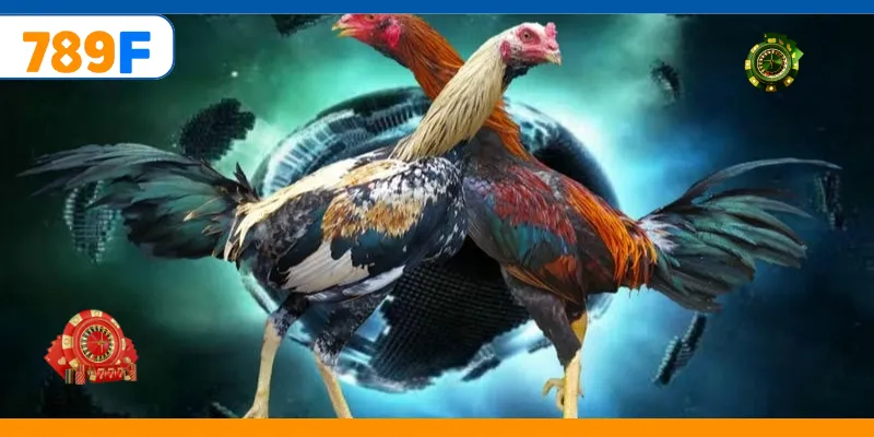 Đá Gà Cựa Dao – Trải Nghiệm Cá Cược Online Kịch Tính 7 Đá Gà Cựa Dao – Trải Nghiệm Cá Cược Online Kịch Tính