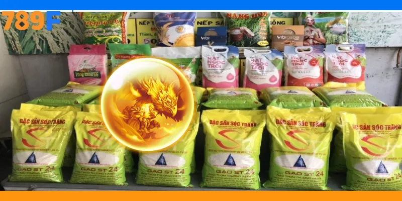 Sự Kiện 789F Từ Thiện | Lan Tỏa Yêu Thương Và Giá Trị 3 Đối tượng hưởng lợi