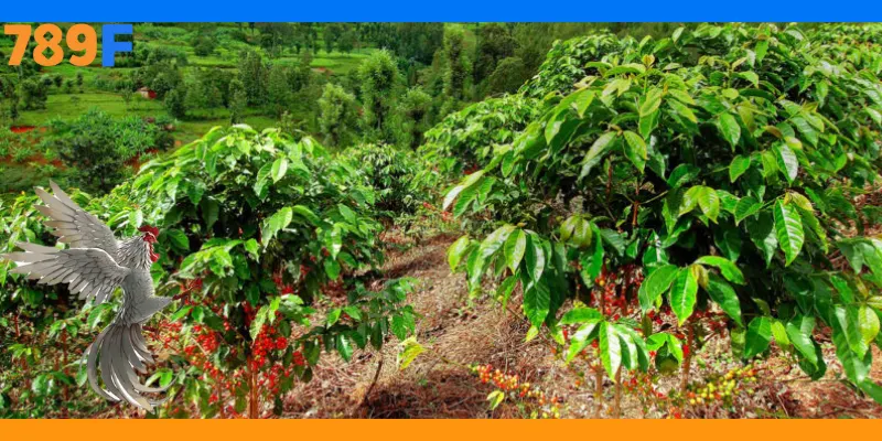 789F Trồng Cây: Hành Trình Bảo Vệ Môi Trường 1 789F Trồng Cây: Hành Trình Bảo Vệ Môi Trường