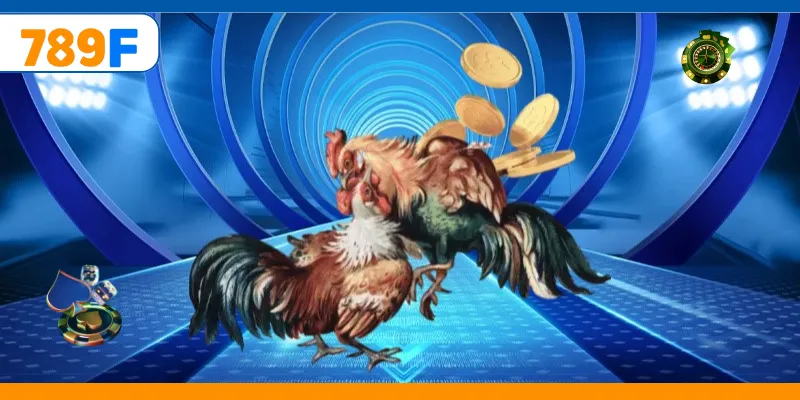 Đá Gà Cựa Dao – Trải Nghiệm Cá Cược Online Kịch Tính 4 Người chơi phân tích gà trước khi đặt cược
