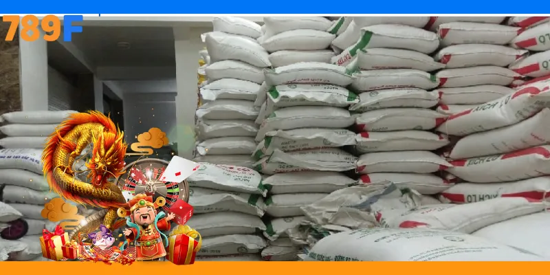 Sự Kiện 789F Từ Thiện | Lan Tỏa Yêu Thương Và Giá Trị 2 Ý nghĩa của 789F tặng gạo Cuba