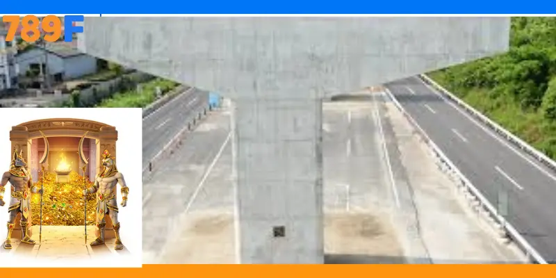 Sự Kiện 789F Từ Thiện | Lan Tỏa Yêu Thương Và Giá Trị 2 Ý nghĩa của việc xây cầu vùng cao